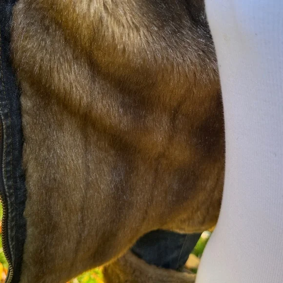 GUESS TRUE VINTAGE 80s RARE FAUX FUR DENIM / JEAN JACKET - L 💙🔥 - Picture 9 of 11